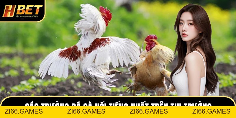 Đá Gà Trực Tuyến Hấp Dẫn Với Nhiều Trận Đấu Gay Cấn