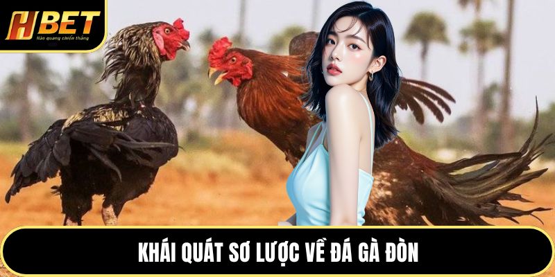 Đá Gà Đòn - Nơi Bản Lĩnh Và Sức Bền Chiến Kê Lên Ngôi