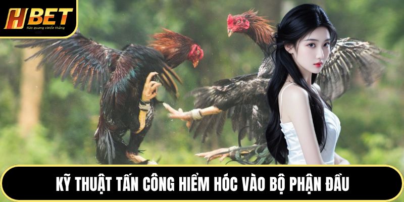 Đá Gà Đòn - Nơi Bản Lĩnh Và Sức Bền Chiến Kê Lên Ngôi